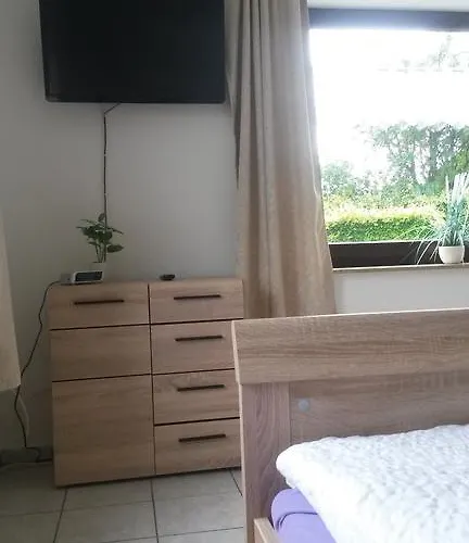 公寓 罗本假日公寓 *